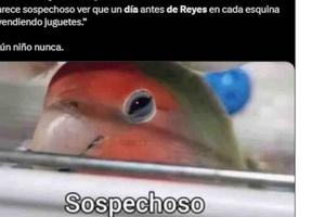 ¡Los mejores memes del Día de Reyes Magos! ¡Aquí te los dejamos!