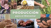 Producción para el Bienestar: ¡Apoyo de hasta un millón de pesos para productores!