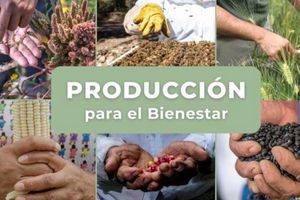 Producción para el Bienestar: ¡Apoyo de hasta un millón de pesos para productores!
