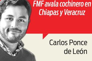 Chiapas, un desastre de la FMF