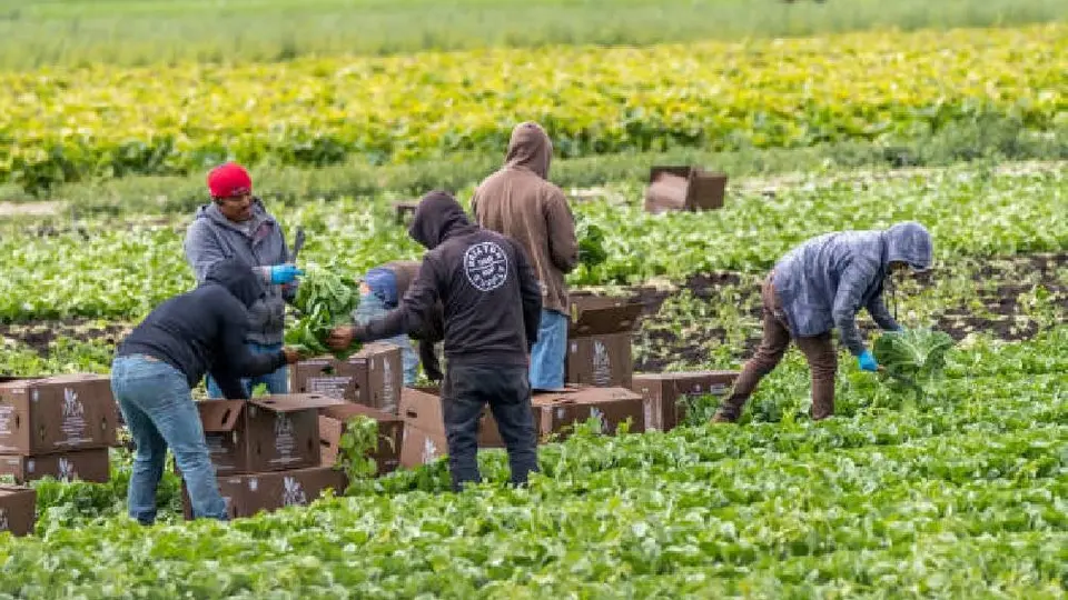 Un día sin inmigrantes: Así protestaron en Estados Unidos con comercios cerrados y trabajos abandonados