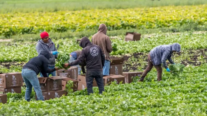 Un día sin inmigrantes: Así protestaron en Estados Unidos con comercios cerrados y trabajos abandonados