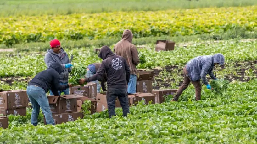 Un día sin inmigrantes: Así protestaron en Estados Unidos con comercios cerrados y trabajos abandonados