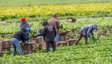 Un día sin inmigrantes: Así protestaron en Estados Unidos con comercios cerrados y trabajos abandonados
