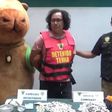 Policía en Perú se disfraza de capibara para atrapar a un narcotraficante