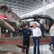 Conoce la exposición de Dinosaurios Mexicanos que hay en CDMX
