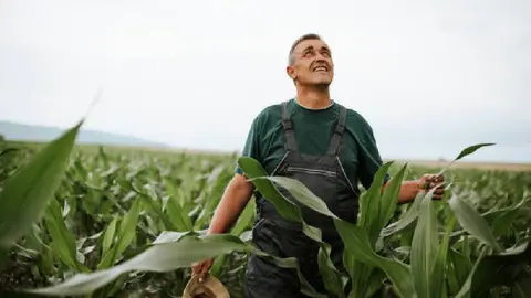 Cabañuelas 2025: ¿Qué clima se espera en diciembre según este método?