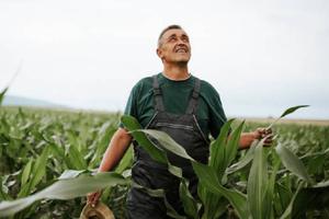 Cabañuelas 2025: ¿Qué clima se espera en diciembre según este método?