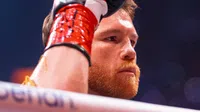 ¡Sin el Canelo Álvarez! The Ring Magazine revela las mejores 5 peleas del 2025
