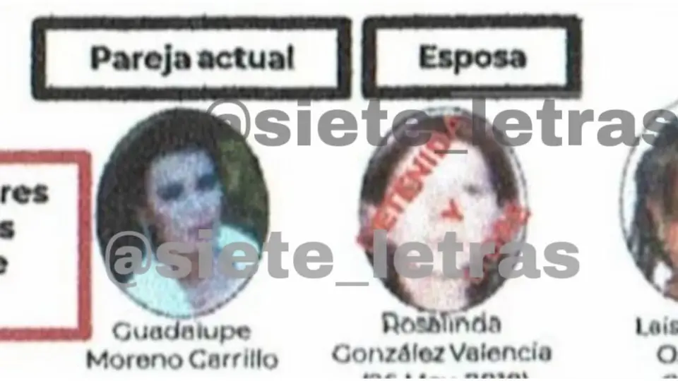 Guadalupe Moreno Carrillo apareció en los documentos filtrados de Guacamaya Leaks desde 2022/X: @siete_letras