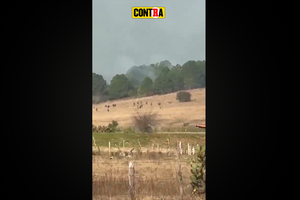 La Caída De “El MENCHO” En Sus Últimas Horas