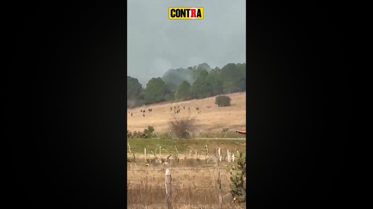 La Caída De “El MENCHO” En Sus Últimas Horas