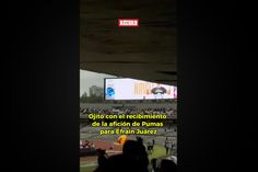 Ojito Con El Recibimiento De La Afición De Pumas Para Efraín Juárez