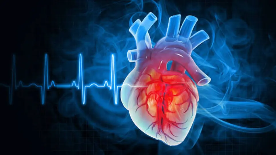 Ver un partido del Mundial no provoca un infarto por sí mismo, pero las emociones intensas sí pueden aumentar la carga del corazón. / iStock