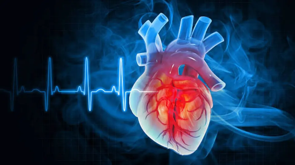 Ver un partido del Mundial no provoca un infarto por sí mismo, pero las emociones intensas sí pueden aumentar la carga del corazón. / iStock