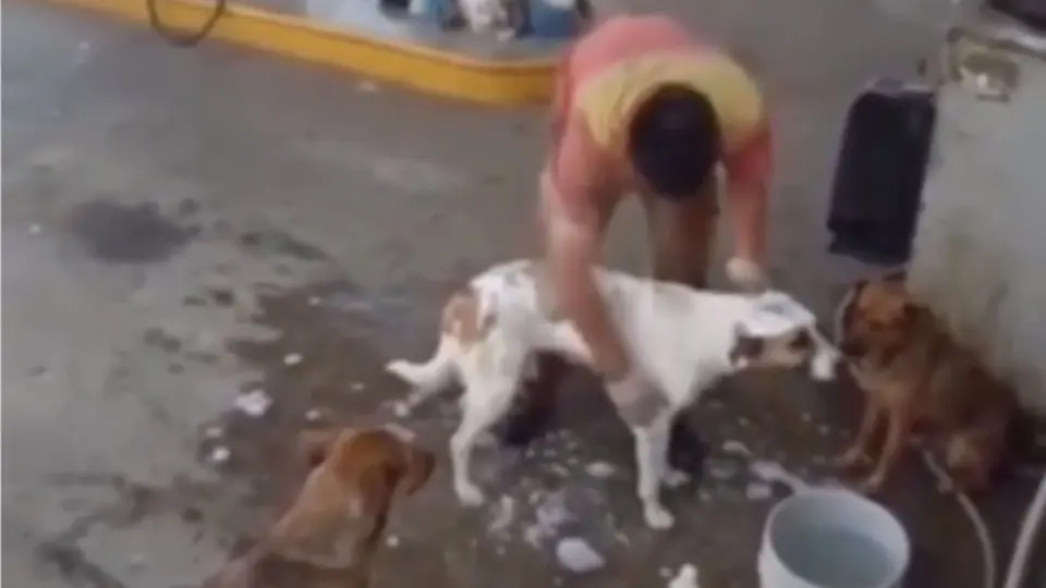 Usuarios en redes sociales convocaron a un boicot contra la gasolinera tras conocerse el despido / IG: @elyoyodigital