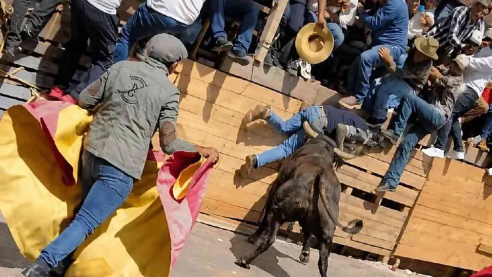 La celebración taurina fue considerada por autoridades como la edición más accidentada de los últimos cinco años. / Especial