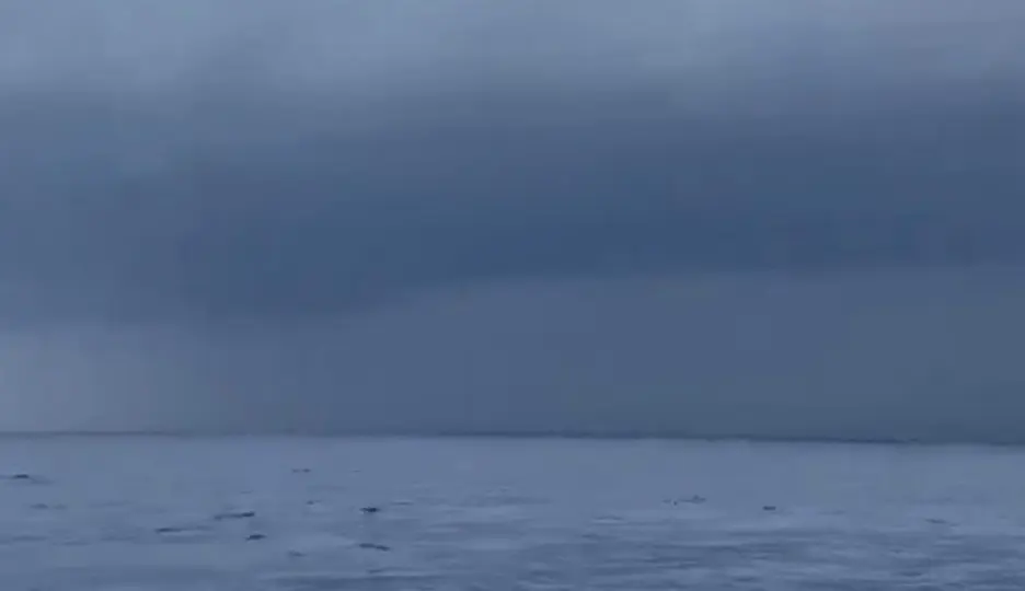 El huracán Polo pierde fuerza en el Pacífico / Captura de pantalla