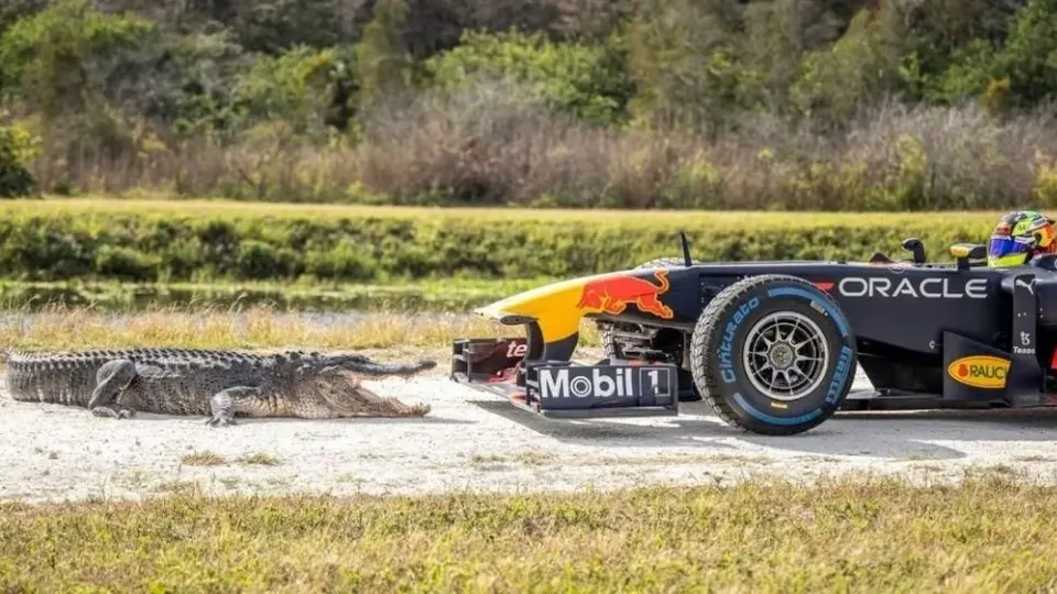 Checo Pérez: Se 'enfrentó' a cocodrilos previo al Gran Premio de Miami