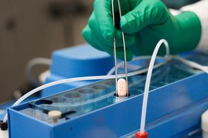 Covid-19: Pastillas anticovid son eficaces contra Ómicron; aseguró Pfizer