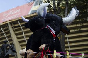 Toros: Juez ordenó suspensión provisional de actividades taurinas en la Plaza México