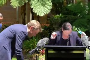 Video: Araña gigante interrumpió conferencia en Australia