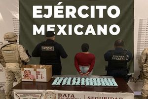SEDENA editó mal una fotografía y causó controversia en redes sociales