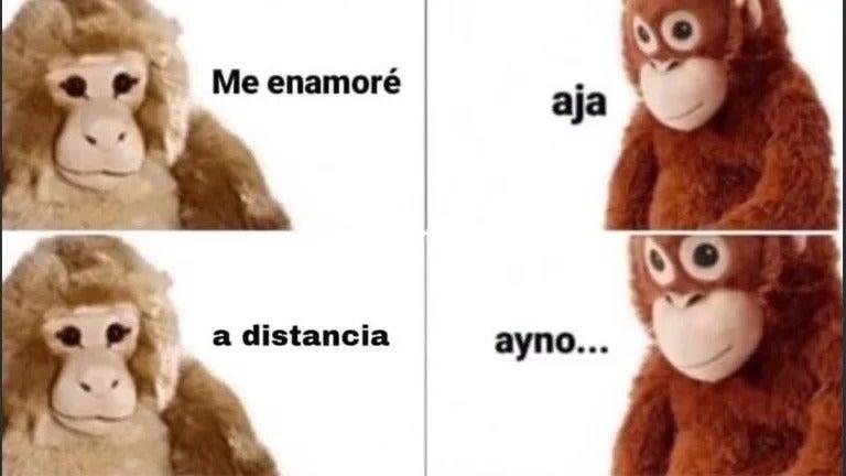 Los mejores memes que marcaron el 2021