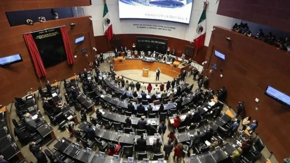 Cámara de Senadores analizará propuesta de aumento de días de vacaciones