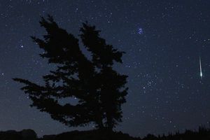 Fragmentos de la Luna se vendieron mejor que los de Marte en subasta de meteoritos