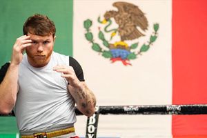Canelo Álvarez: Se burló de sus detractores en redes sociales; 'Mi cerebro está frito'