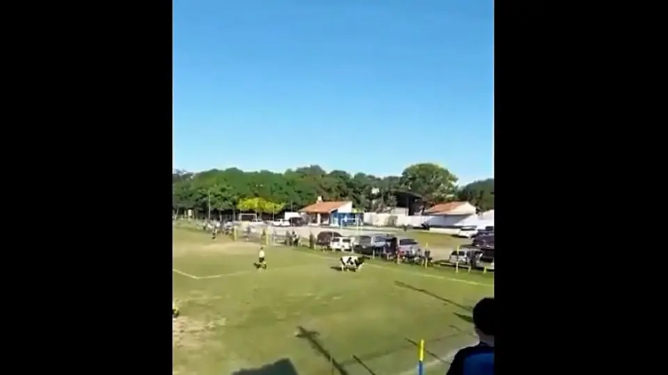 Video: Vaca interrumpe un partido en Paraguay
