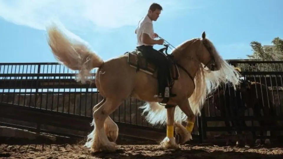 Canelo Álvarez: Así es el lujoso rancho del boxeador mexicano