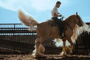 Canelo Álvarez: Así es el lujoso rancho del boxeador mexicano