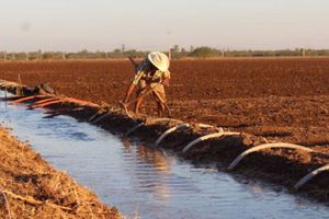 Eduardo Vázquez: 'Sector agrícola es el que más consume y desperdicia agua'