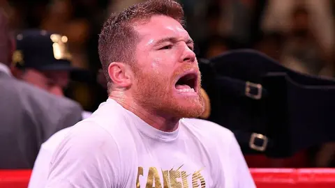 Canelo Álvarez hace 'orinar sangre' a reportero que fungió como 'costal'