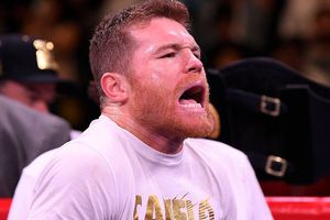 Canelo Álvarez hace 'orinar sangre' a reportero que fungió como 'costal'