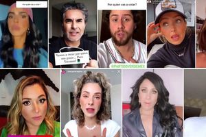 TEPJF multó al Partido Verde por propaganda prohibida de influencers