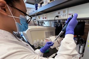 Coronavirus: Expertos preocupados por detección de ola de covid en Estados Unidos