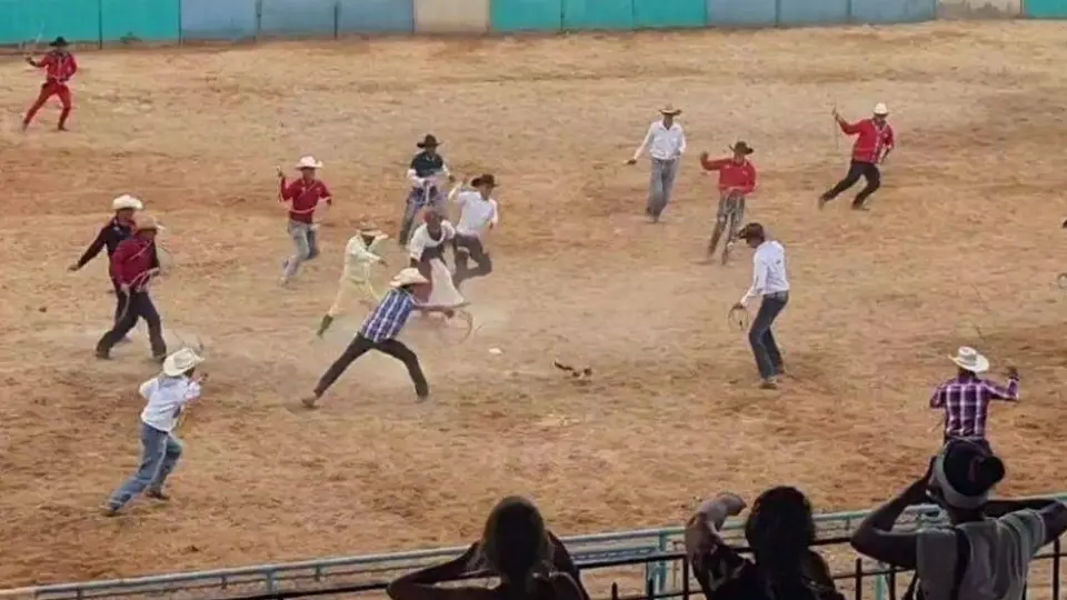 'Rodeo de gatos' desató protestas en contra del maltrato animal en Cuba