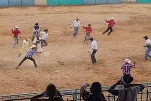 'Rodeo de gatos' desató protestas en contra del maltrato animal en Cuba