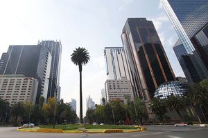 Palma de Reforma: ¿Por qué será retirada la icónica palmera de la CDMX?