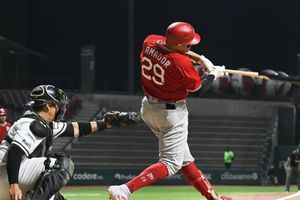 Liga Mexicana de Beisbol pondrá a prueba cambios para agilizar el tiempo de juego en 2022