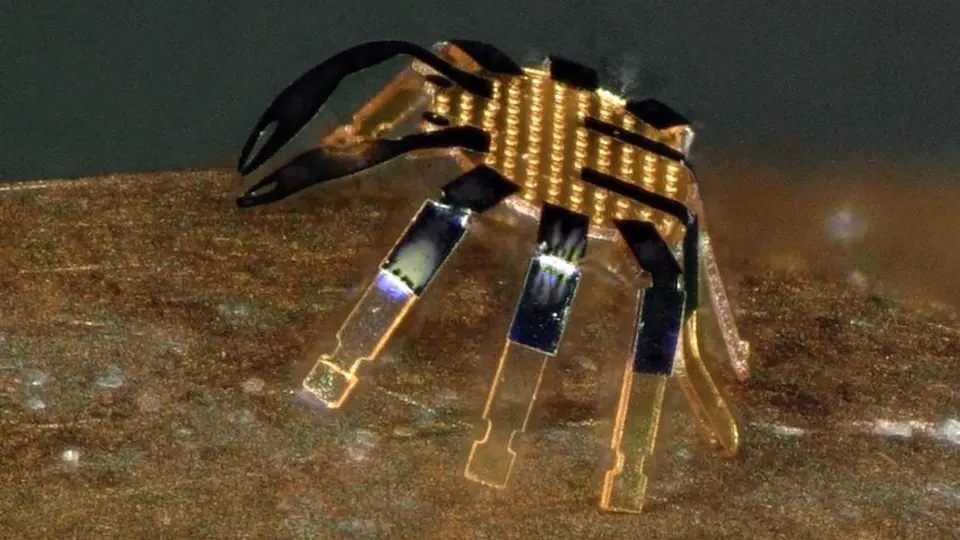 Universidad de Northwestern creó robot 'cangrejo', capaz de ayudar en intervenciones quirúrgicas
