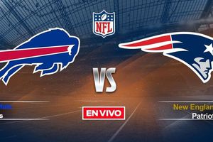 Buffalo Bills vs New England Patriots NFL EN VIVO Semana 16