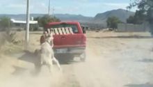 Video: Captaron a camioneta roja arrastrando a burro amarrado en Hidalgo