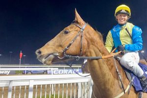 Caballo de carreras correrá con los colores de Ucrania en solidaridad contra la guerra