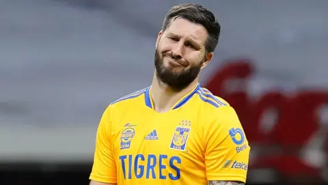 "Los Tigres que sí son grandes en México": Mensaje de los de Quintana Roo para los de la UANL