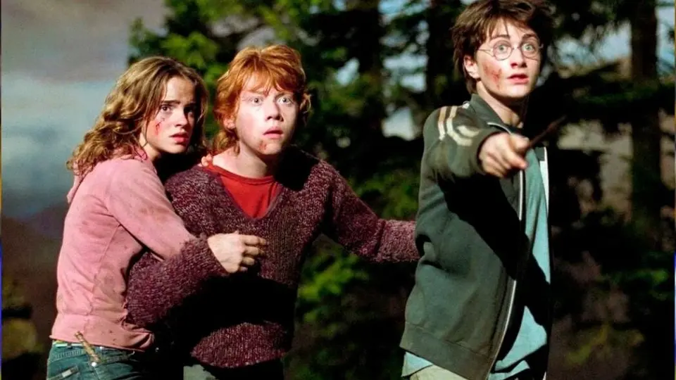 Pastor quemó libros de Harry Potter por considerarlos "magia negra"