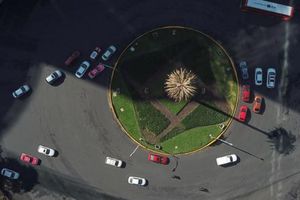 Glorieta de la Palma: ¿Cómo participar en la consulta para elegir el nuevo árbol en Reforma?